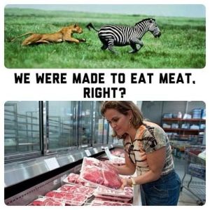 Taken from Pinterest